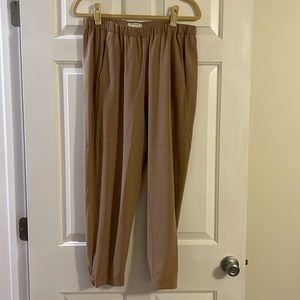 Aritzia Babaton Pants